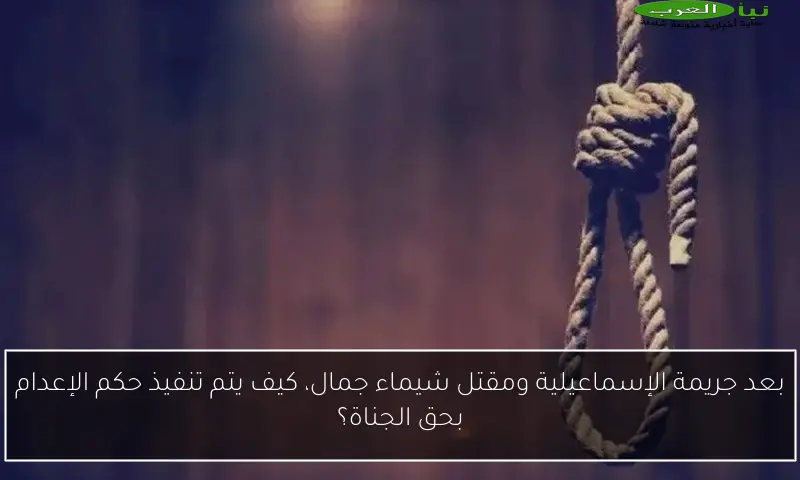 بعد جريمة الإسماعيلية ومقتل شيماء جمال، كيف يتم تنفيذ حكم الإعدام بحق الجناة؟