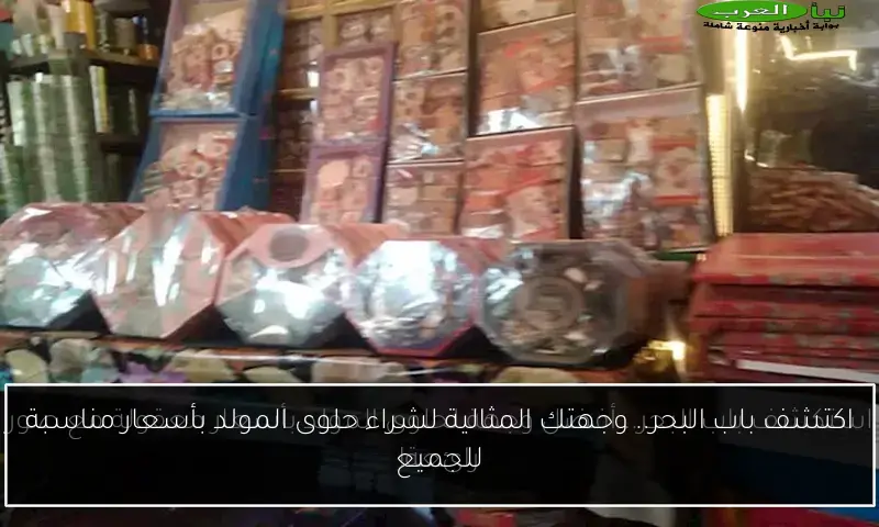 اكتشف باب البحر.. وجهتك المثالية لشراء حلوى المولد بأسعار مناسبة للجميع