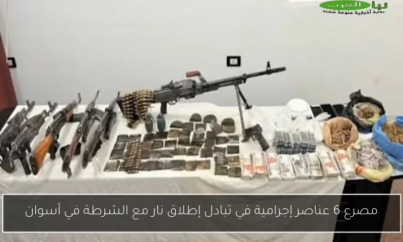 مصرع 6 عناصر إجرامية في تبادل إطلاق نار مع الشرطة في أسوان