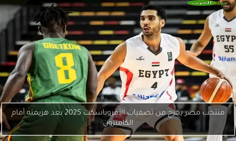 منتخب مصر يخرج من تصفيات الأفروباسكت 2025 بعد هزيمته أمام الكاميرون