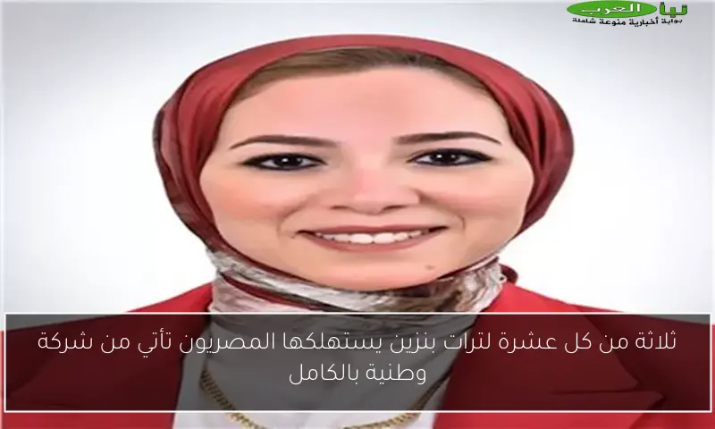 ثلاثة من كل عشرة لترات بنزين يستهلكها المصريون تأتي من شركة وطنية بالكامل