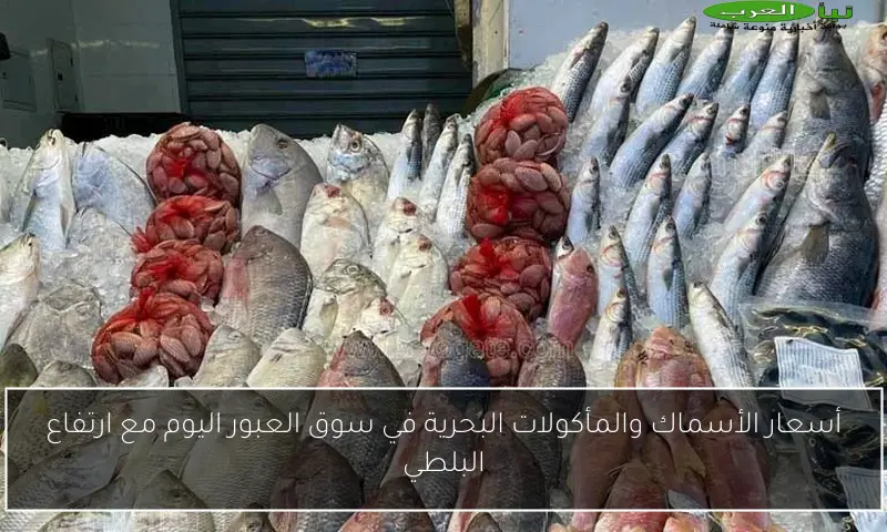 أسعار الأسماك والمأكولات البحرية في سوق العبور اليوم مع ارتفاع البلطي