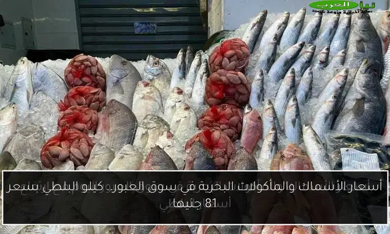 أسعار الأسماك والمأكولات البحرية في سوق العبور.. كيلو البلطي بسعر 81 جنيها