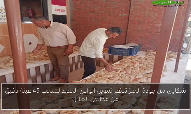 شكاوى من جودة الخبز تدفع تموين الوادي الجديد لسحب 45 عينة دقيق من مطحن الغلال