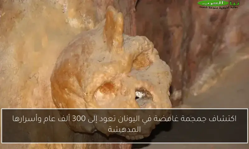 اكتشاف جمجمة غامضة في اليونان تعود إلى 300 ألف عام وأسرارها المدهشة