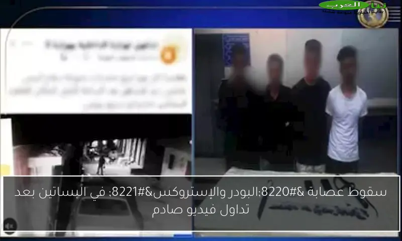 سقوط عصابة “البودر والإستروكس” في البساتين بعد تداول فيديو صادم