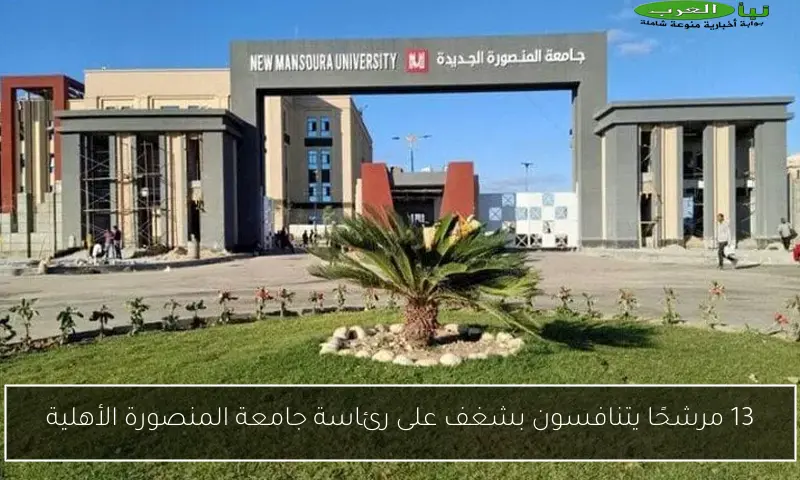 13 مرشحًا يتنافسون بشغف على رئاسة جامعة المنصورة الأهلية