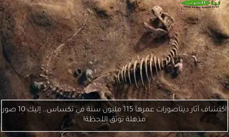 اكتشاف آثار ديناصورات عمرها 115 مليون سنة في تكساس.. إليك 10 صور مذهلة توثق اللحظة!
