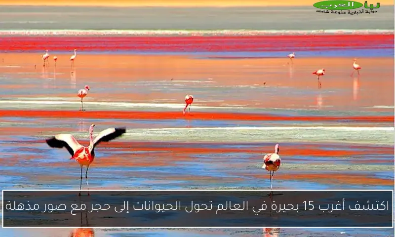 اكتشف أغرب 15 بحيرة في العالم تحول الحيوانات إلى حجر مع صور مذهلة