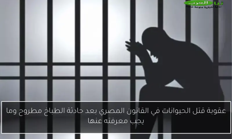 عقوبة قتل الحيوانات في القانون المصري بعد حادثة الطباخ مطروح وما يجب معرفته عنها
