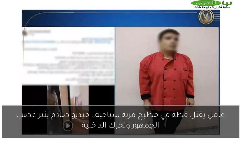 عامل يقتل قطة في مطبخ قرية سياحية.. فيديو صادم يثير غضب الجمهور وتحرك الداخلية