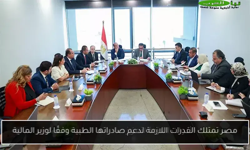 مصر تمتلك القدرات اللازمة لدعم صادراتها الطبية وفقًا لوزير المالية