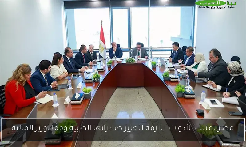 مصر تمتلك الأدوات اللازمة لتعزيز صادراتها الطبية وفقًا لوزير المالية