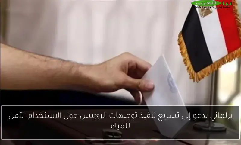 برلماني يدعو إلى تسريع تنفيذ توجيهات الرئيس حول الاستخدام الآمن للمياه