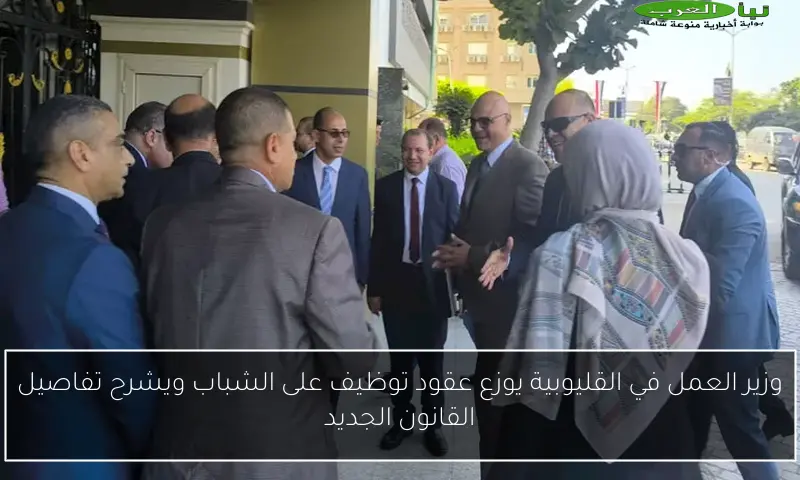 وزير العمل في القليوبية يوزع عقود توظيف على الشباب ويشرح تفاصيل القانون الجديد