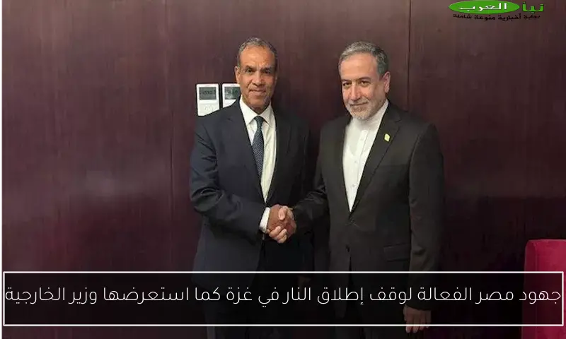 جهود مصر الفعالة لوقف إطلاق النار في غزة كما استعرضها وزير الخارجية