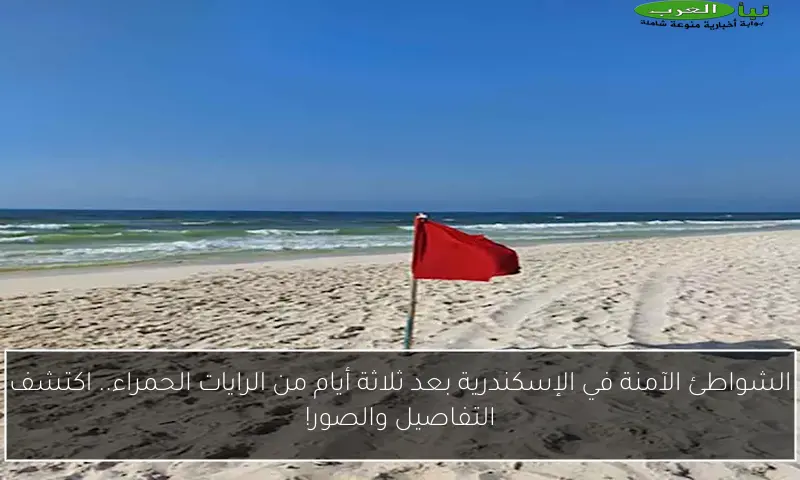 الشواطئ الآمنة في الإسكندرية بعد ثلاثة أيام من الرايات الحمراء.. اكتشف التفاصيل والصور!