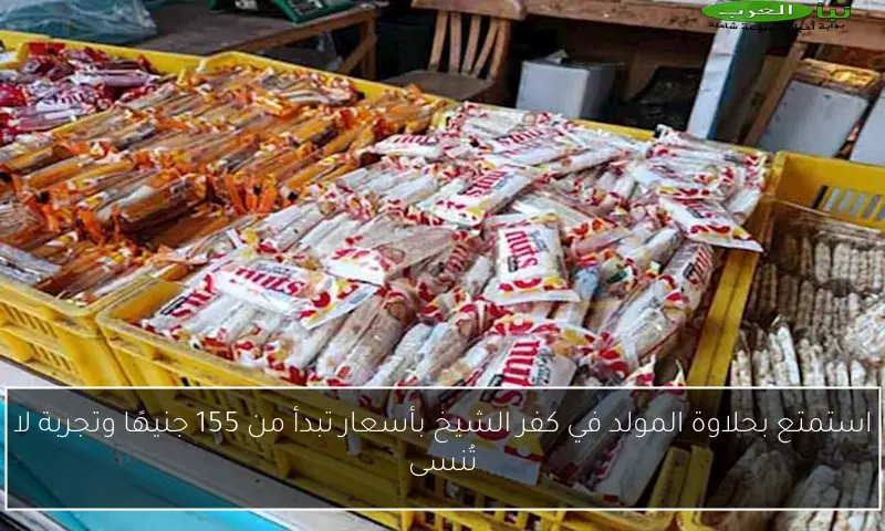 استمتع بحلاوة المولد في كفر الشيخ بأسعار تبدأ من 155 جنيهًا وتجربة لا تُنسى
