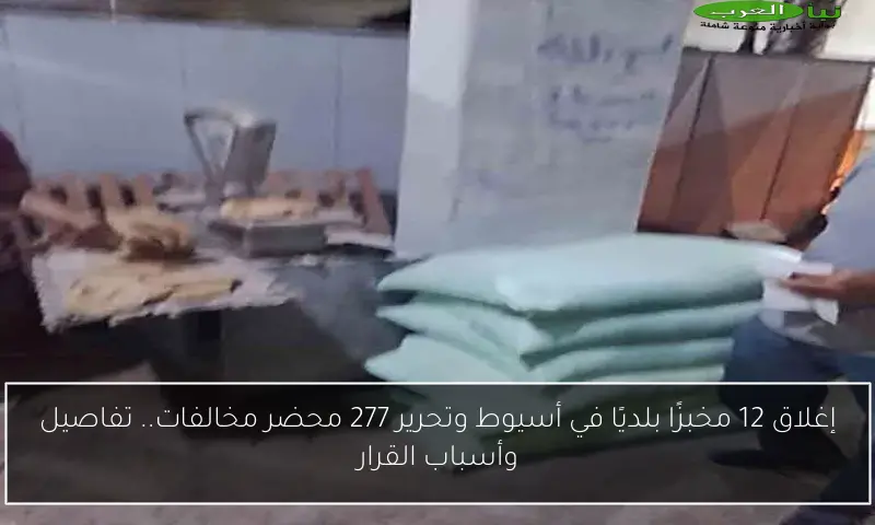 إغلاق 12 مخبزًا بلديًا في أسيوط وتحرير 277 محضر مخالفات.. تفاصيل وأسباب القرار
