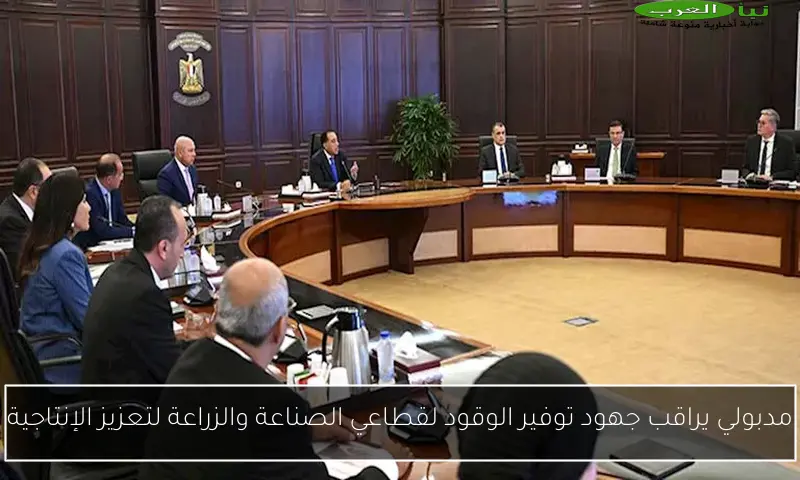 مدبولي يراقب جهود توفير الوقود لقطاعي الصناعة والزراعة لتعزيز الإنتاجية