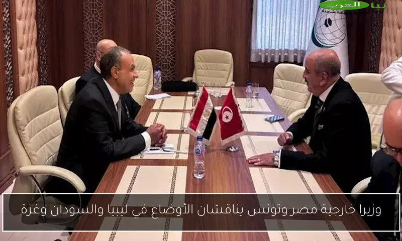 وزيرا خارجية مصر وتونس يناقشان الأوضاع في ليبيا والسودان وغزة