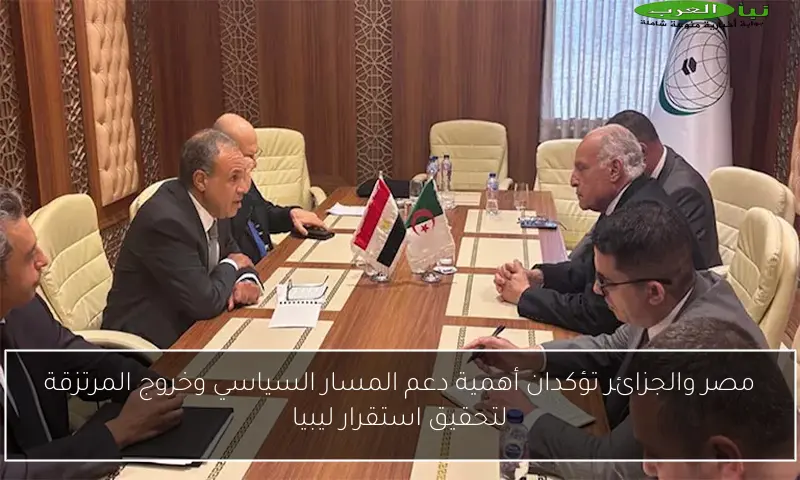 مصر والجزائر تؤكدان أهمية دعم المسار السياسي وخروج المرتزقة لتحقيق استقرار ليبيا