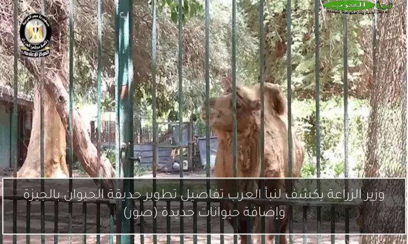 وزير الزراعة يكشف لنبأ العرب تفاصيل تطوير حديقة الحيوان بالجيزة وإضافة حيوانات جديدة (صور)