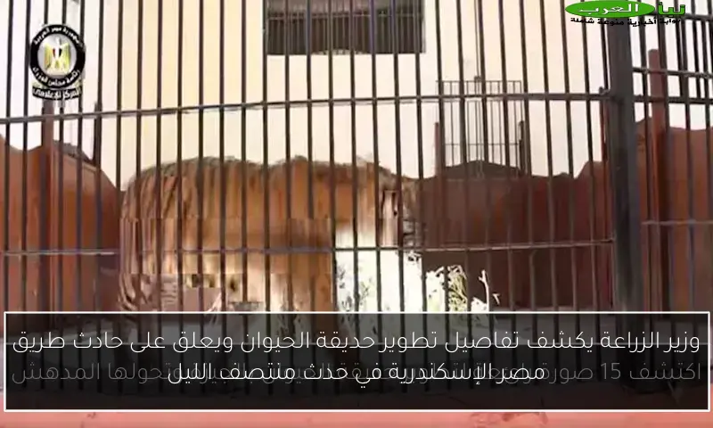 وزير الزراعة يكشف تفاصيل تطوير حديقة الحيوان ويعلق على حادث طريق مصر الإسكندرية في حدث منتصف الليل