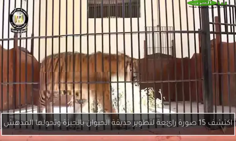 اكتشف 15 صورة رائعة لتطوير حديقة الحيوان بالجيزة وتحولها المدهش