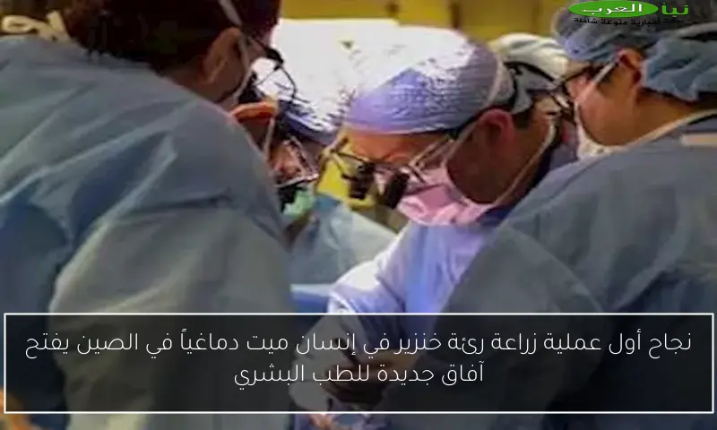 نجاح أول عملية زراعة رئة خنزير في إنسان ميت دماغياً في الصين يفتح آفاق جديدة للطب البشري