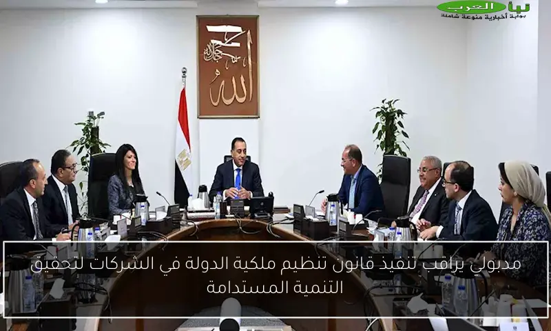 مدبولي يراقب تنفيذ قانون تنظيم ملكية الدولة في الشركات لتحقيق التنمية المستدامة