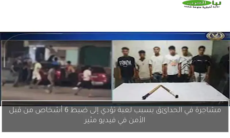 مشاجرة في الحدائق بسبب لعبة تؤدي إلى ضبط 6 أشخاص من قبل الأمن في فيديو مثير
