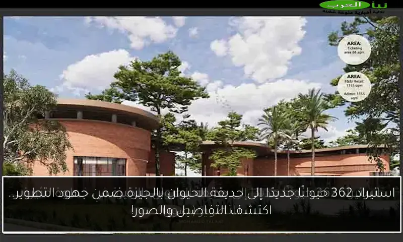 استيراد 362 حيوانًا جديدًا إلى حديقة الحيوان بالجيزة ضمن جهود التطوير.. اكتشف التفاصيل والصور!