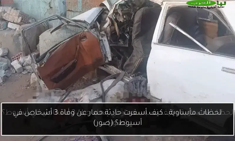 لحظات مأساوية.. كيف أسفرت حادثة حمار عن وفاة 3 أشخاص في أسيوط؟ (صور)