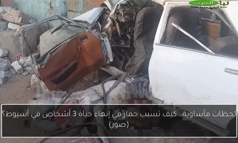 لحظات مأساوية.. كيف تسبب حمار في إنهاء حياة 3 أشخاص في أسيوط؟ (صور)