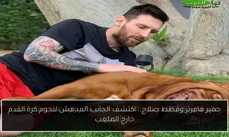 حمير هافرتز وقطط صلاح.. اكتشف الجانب المدهش لنجوم كرة القدم خارج الملعب