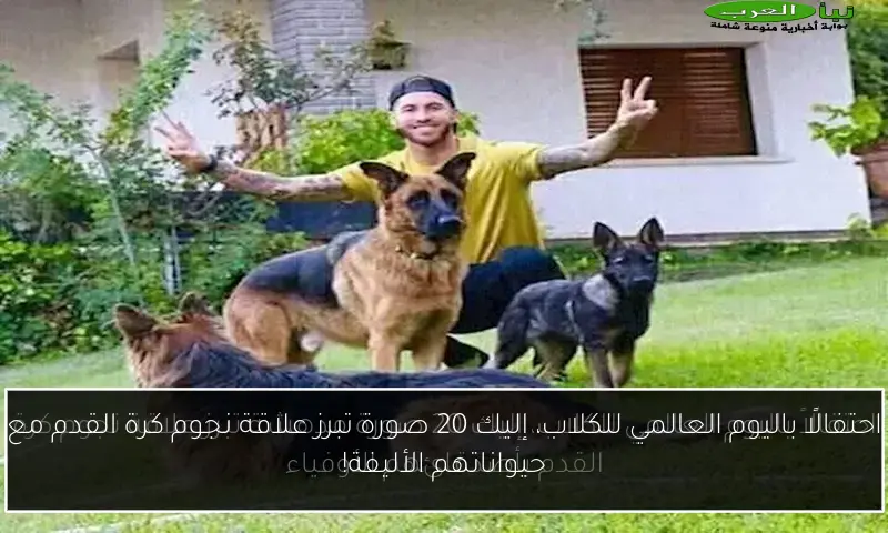 احتفالًا باليوم العالمي للكلاب، إليك 20 صورة تبرز علاقة نجوم كرة القدم مع حيواناتهم الأليفة!