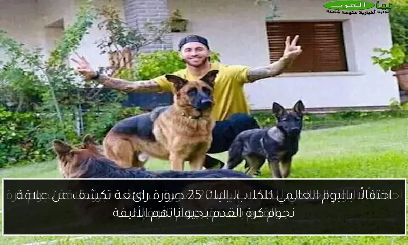 احتفالًا باليوم العالمي للكلاب، إليك 25 صورة رائعة تكشف عن علاقة نجوم كرة القدم بحيواناتهم الأليفة