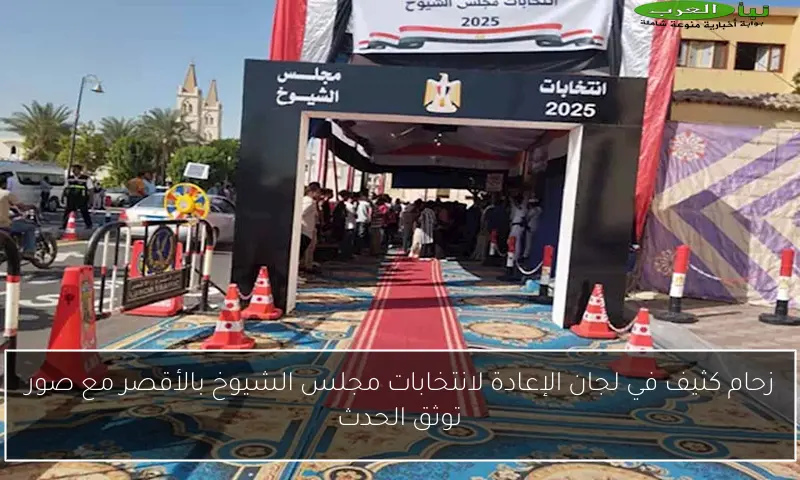 زحام كثيف في لجان الإعادة لانتخابات مجلس الشيوخ بالأقصر مع صور توثق الحدث