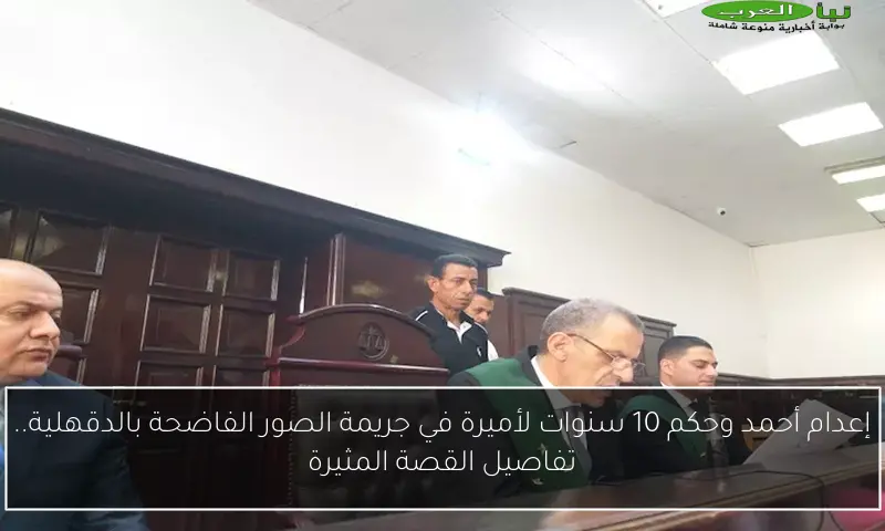 إعدام أحمد وحكم 10 سنوات لأميرة في جريمة الصور الفاضحة بالدقهلية.. تفاصيل القصة المثيرة