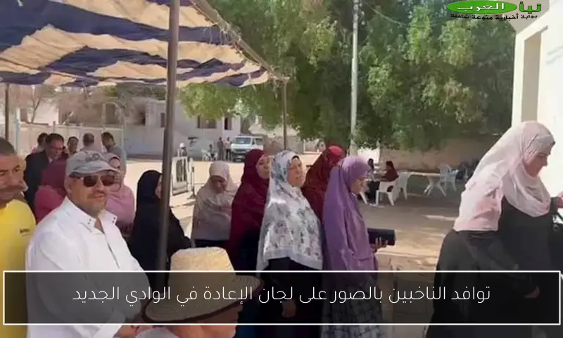 توافد الناخبين بالصور على لجان الإعادة في الوادي الجديد