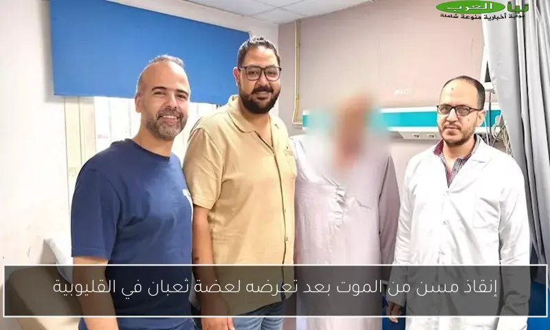 إنقاذ مسن من الموت بعد تعرضه لعضة ثعبان في القليوبية