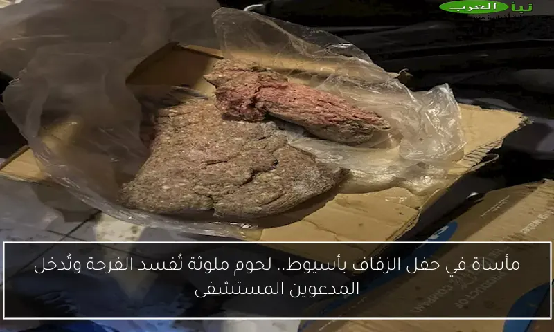 مأساة في حفل الزفاف بأسيوط.. لحوم ملوثة تُفسد الفرحة وتُدخل المدعوين المستشفى