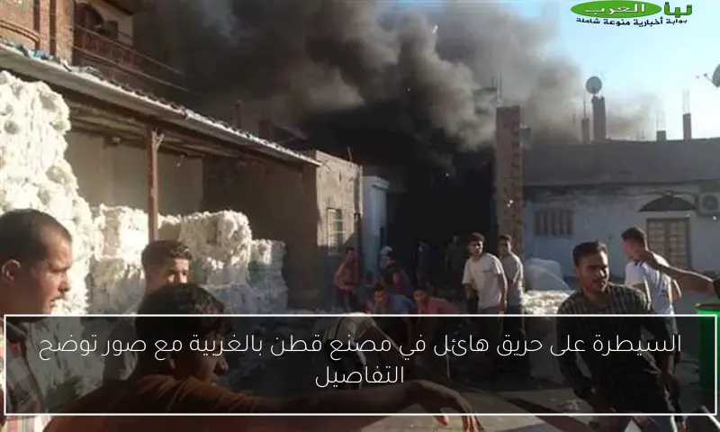 السيطرة على حريق هائل في مصنع قطن بالغربية مع صور توضح التفاصيل