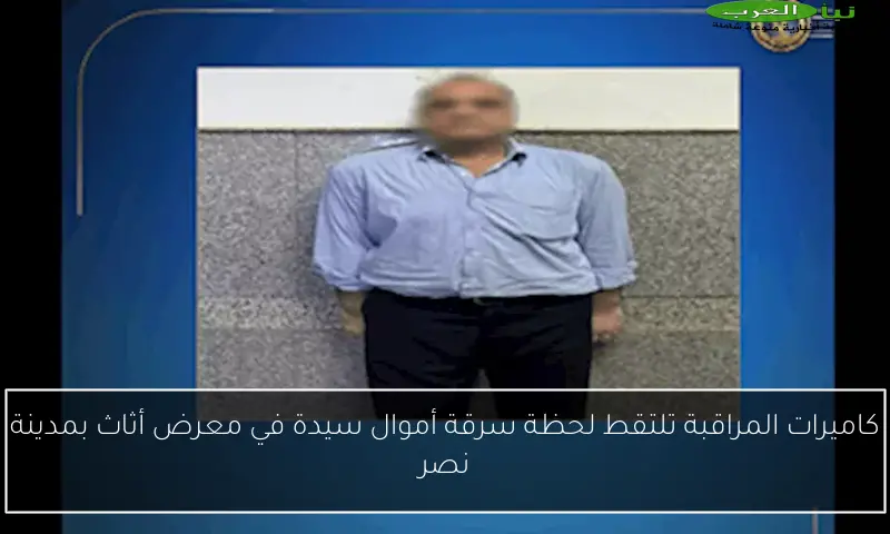 كاميرات المراقبة تلتقط لحظة سرقة أموال سيدة في معرض أثاث بمدينة نصر