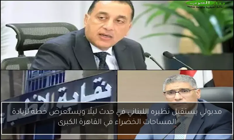 مدبولي يستقبل نظيره اللبناني في حدث ليلًا ويستعرض خطة لزيادة المساحات الخضراء في القاهرة الكبرى