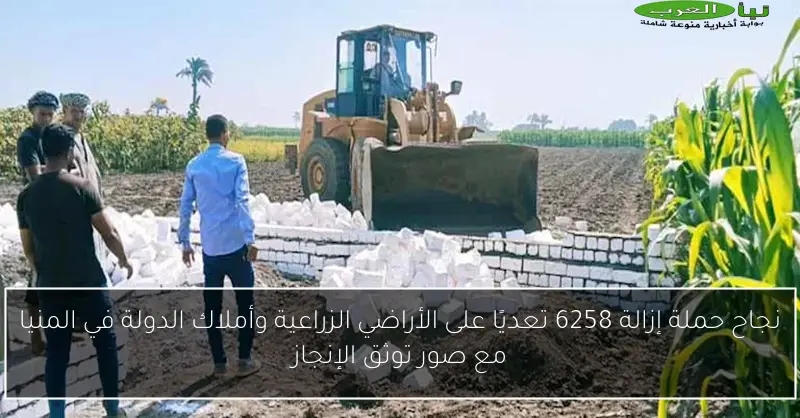 نجاح حملة إزالة 6258 تعديًا على الأراضي الزراعية وأملاك الدولة في المنيا مع صور توثق الإنجاز