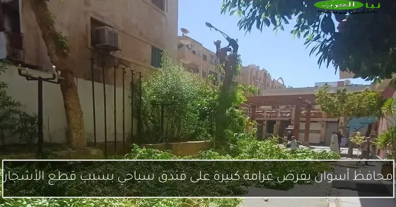 محافظ أسوان يفرض غرامة كبيرة على فندق سياحي بسبب قطع الأشجار