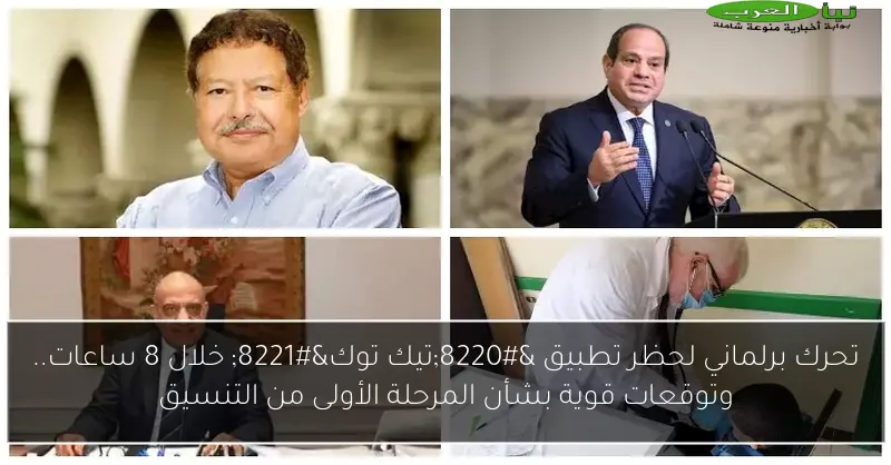 تحرك برلماني لحظر تطبيق “تيك توك” خلال 8 ساعات.. وتوقعات قوية بشأن المرحلة الأولى من التنسيق