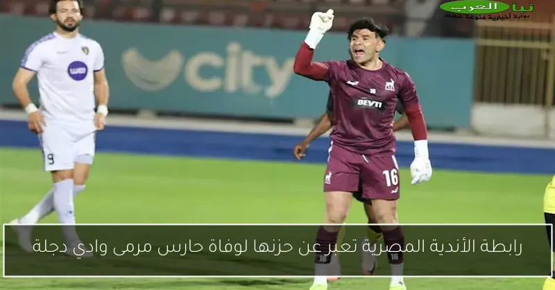 رابطة الأندية المصرية تعبر عن حزنها لوفاة حارس مرمى وادي دجلة